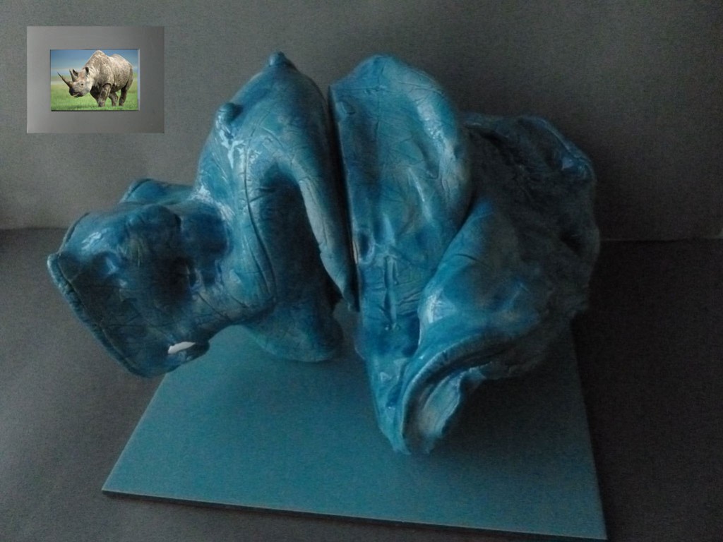 Rhinoceros